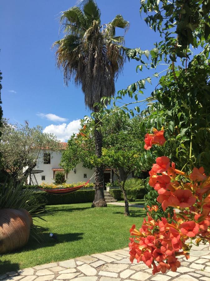 Villa Olive Ano Lekhonia Экстерьер фото