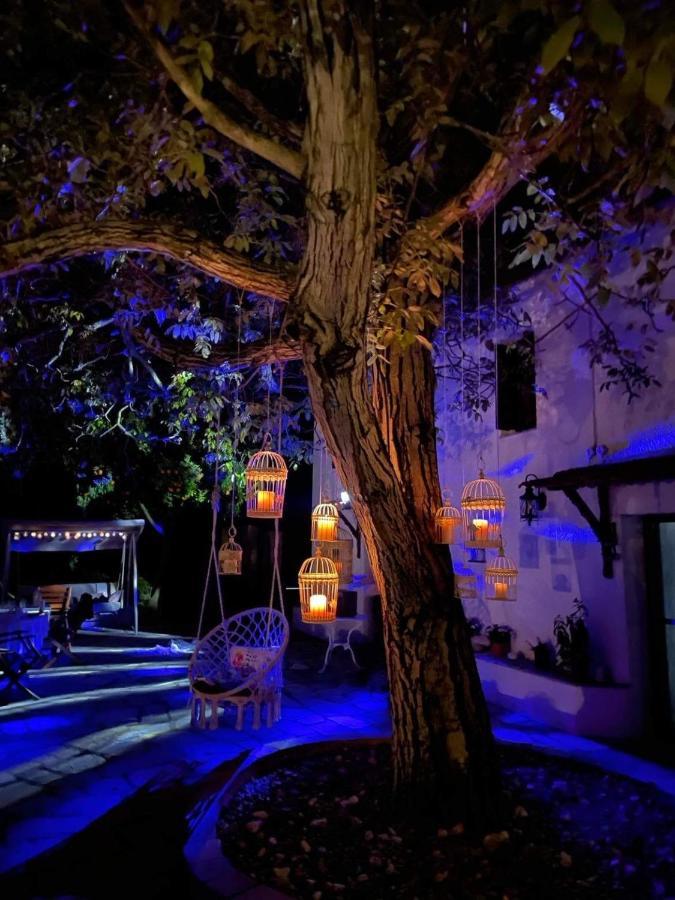 Villa Olive Ano Lekhonia Экстерьер фото