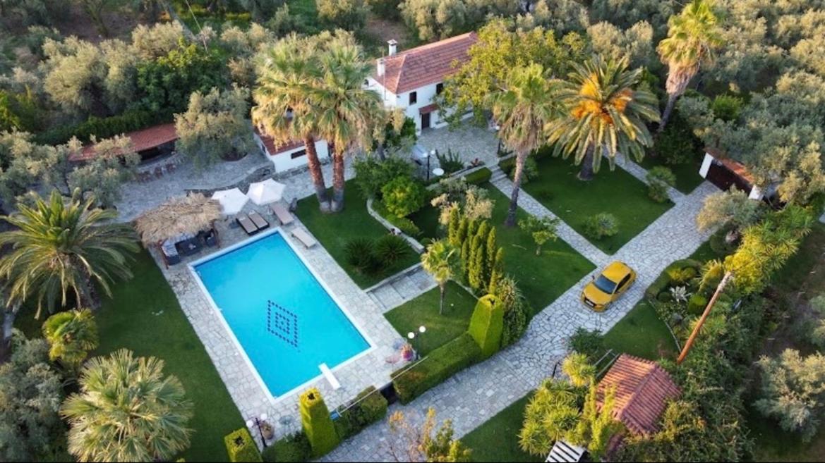 Villa Olive Ano Lekhonia Экстерьер фото