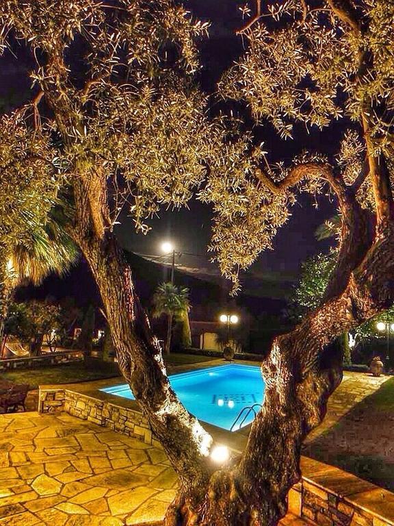 Villa Olive Ano Lekhonia Номер фото